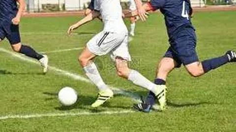 官方揭露于月仙车祸真相：撞击骆驼引发事故，驾驶员受伤