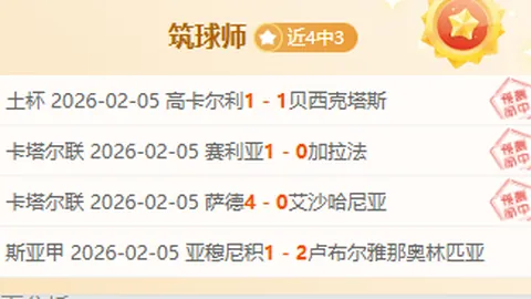 大乐透期号专家推荐：老鹰对灰熊赛况及总分预测