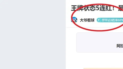 大乐透期号专家推荐：连胜5天主场强，往绩仍存劣势